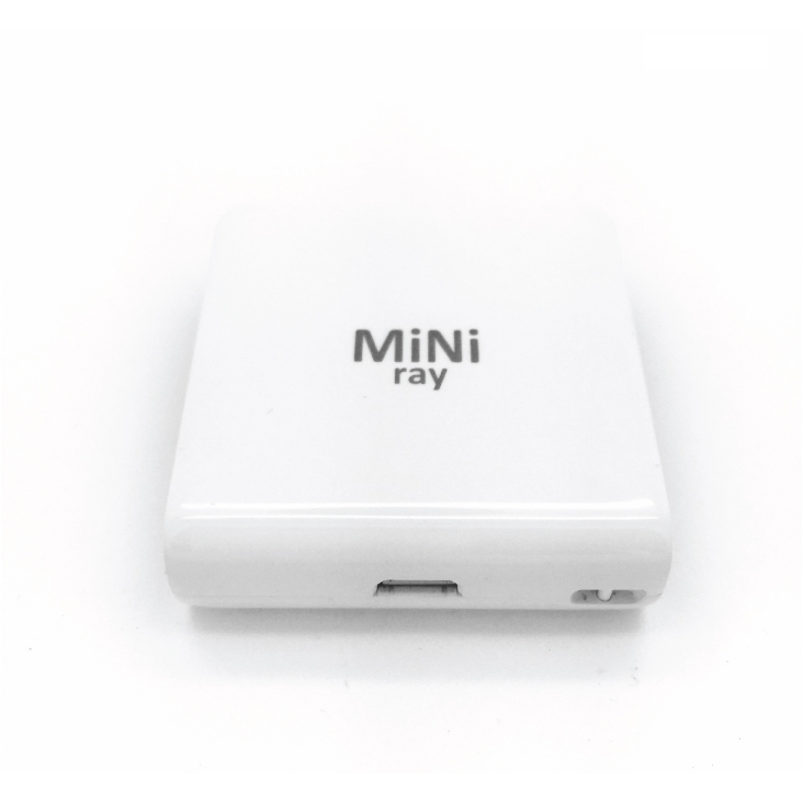 Mini Ray Pocket Projector